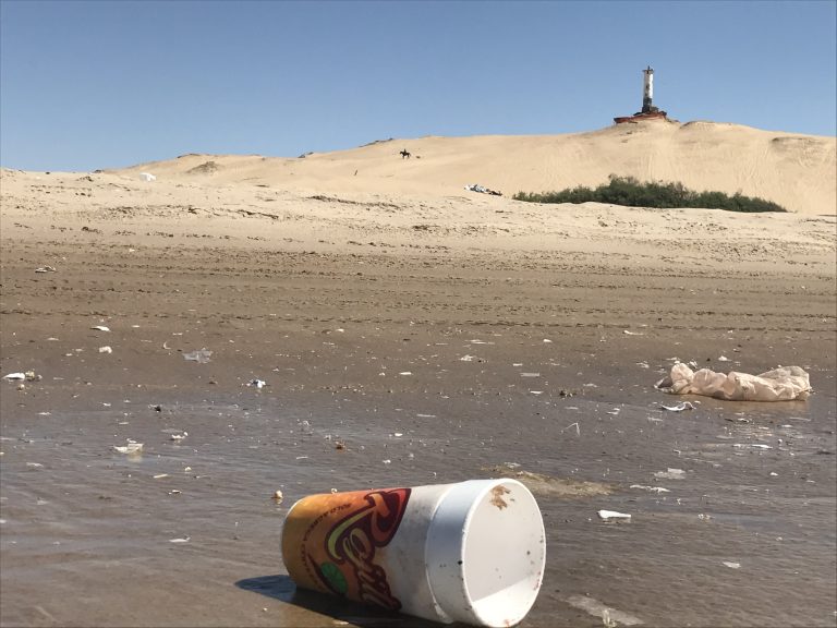 Dejan turistas más de 100 toneladas de basura en el Golfo de Santa Clara