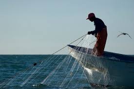 Apoyo económico para pescadores del Alto Golfo ascienden a más de mil 500 mdp desde el 2015