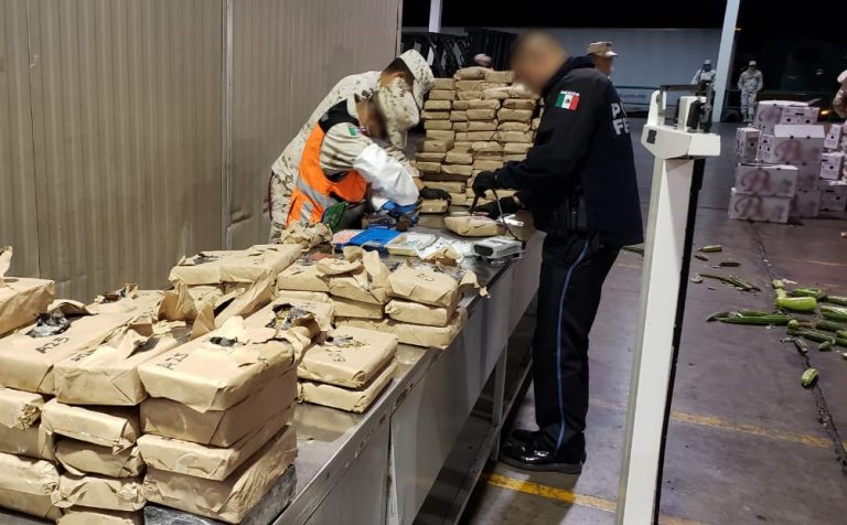 Interceptan en carretera Hermosillo-Nogales diferentes tipos de drogas ocultos en cargamento de verdura