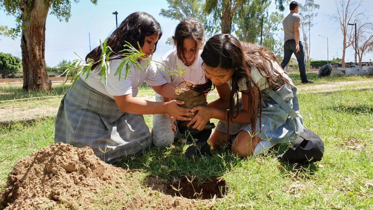 En San Luis Río Colorado buscan rescatar áreas verdes del municipio