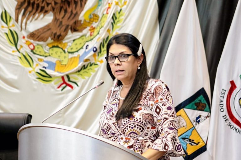 Propone diputada Ernestina Castro imponer penas más severas a quienes cometen actos de corrupción