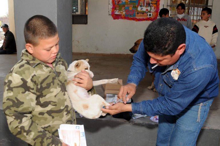 Llama Centro de Atención Canina y Felina a proteger a gatos y perros con vacuna antirrábica