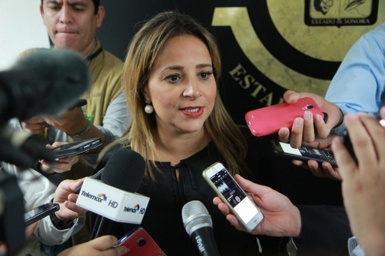 Un acierto el mecanismo financiero que propone el estado  para pagar ahorro en sus finanzas: Flor Ayala