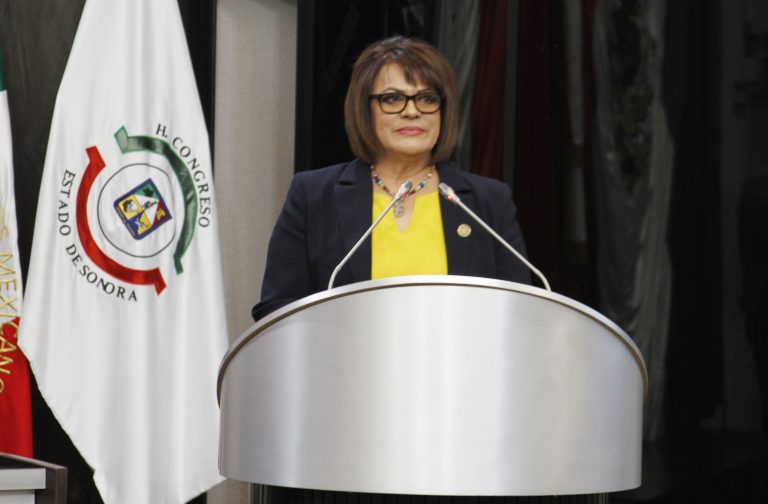 Promueve diputada Magdalena Uribe parques y plazas inclusivos con adaptación para personas con discapacidad