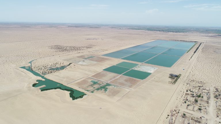 Resaltan importancia ecológica de Humedal Cucapá en San Luis Río Colorado
