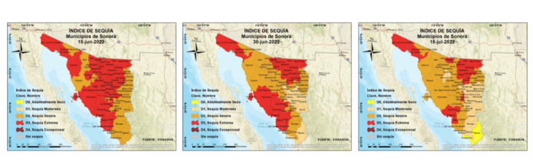 Superficie e intensidad de sequía ha disminuido en Sonora ante precipitaciones de verano: Conagua
